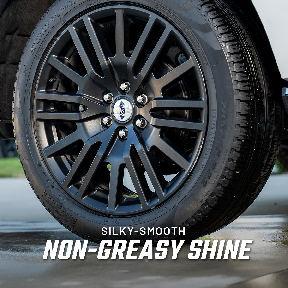 Exterior Dressing - Subscribe & Save