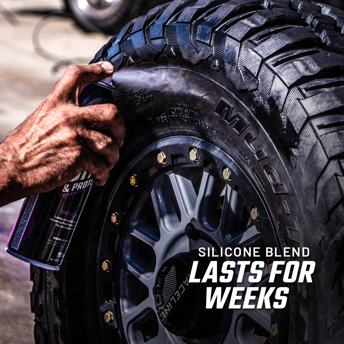 Shine & Protectant 4-Pack