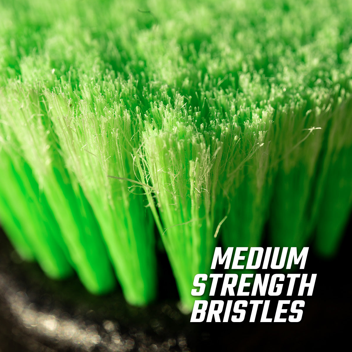 Scrub Brush