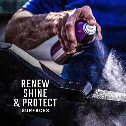 Shine & Protectant 3-Pack Offer